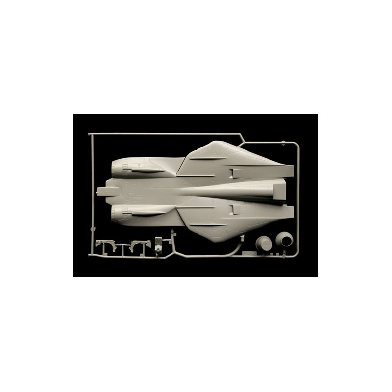 MODELO 1:72 F-14A TOMCAT